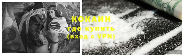 винт Верея