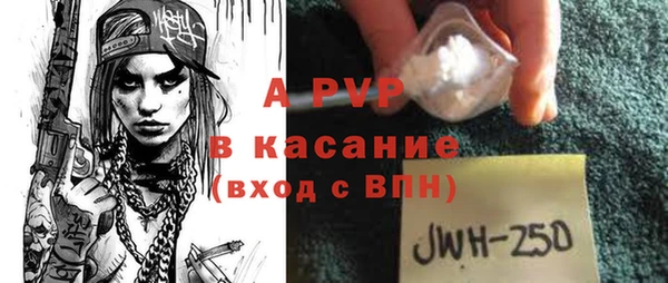 винт Верея
