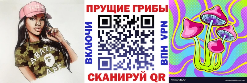 Галлюциногенные грибы Psilocybine cubensis  shop формула  Нальчик 